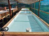 aquaponic_plant_bed_1