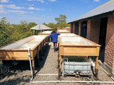 Aquaponic Units in final position