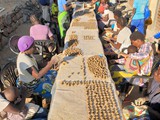 Clay pebble production II