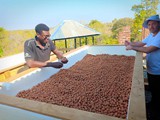 Pebbels in the aquaponic unit