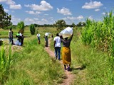 fingerling_arrival_pond