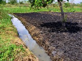 draining_water_fertilizes_agriculture_grounds