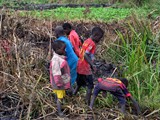 kids_collecting_remaining_fish_from_drainage_canal