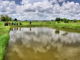 Typical Tilapia pond in Mjinchi